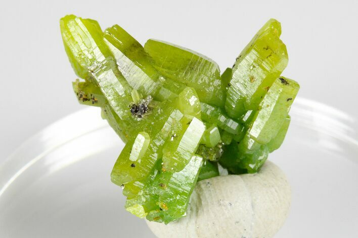 Apple-Green Pyromorphite Crystal Cluster - China #184656